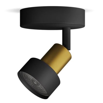 Philips - Oświetlenie punktowe CONDUIT 1xGU10/5W/230V czarne/mosiądz