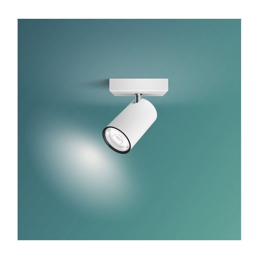 Philips - Oświetlenie punktowe KOSIPO 1xGU10/5,5W/230V biały