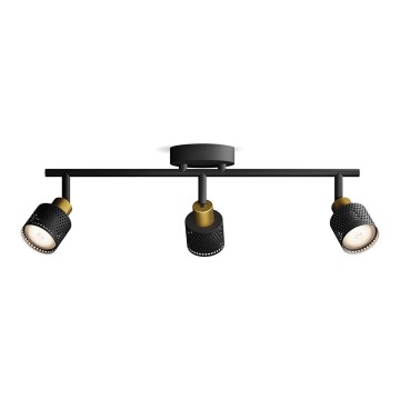 Philips - Oświetlenie punktowe NIALL 3xGU10/5W/230V czarne/mosiądz