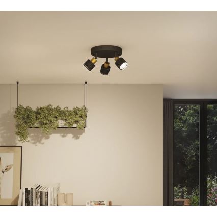 Philips - Oświetlenie punktowe NIALL 3xGU10/5W/230V czarne/mosiądz