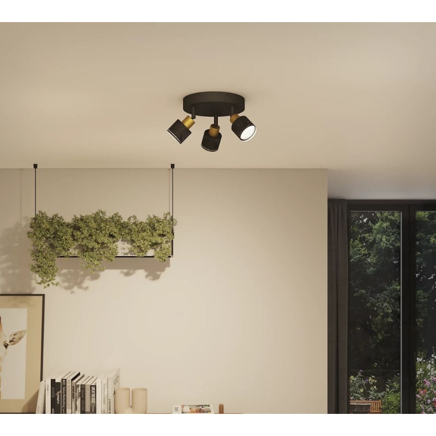 Philips - Oświetlenie punktowe NIALL 3xGU10/5W/230V czarne/mosiądz