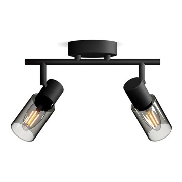 Philips - Oświetlenie punktowe PALMS 2xE14/25W/230V