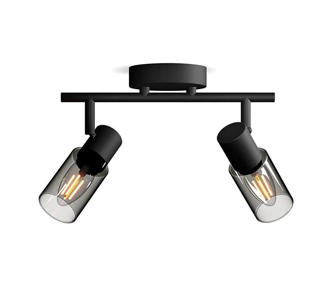 Philips - Oświetlenie punktowe PALMS 2xE14/25W/230V