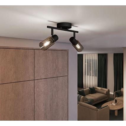 Philips - Oświetlenie punktowe PALMS 2xE14/25W/230V