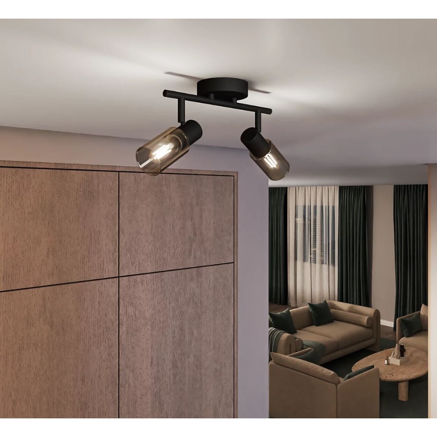 Philips - Oświetlenie punktowe PALMS 2xE14/25W/230V