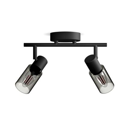 Philips - Oświetlenie punktowe PALMS 2xE14/25W/230V