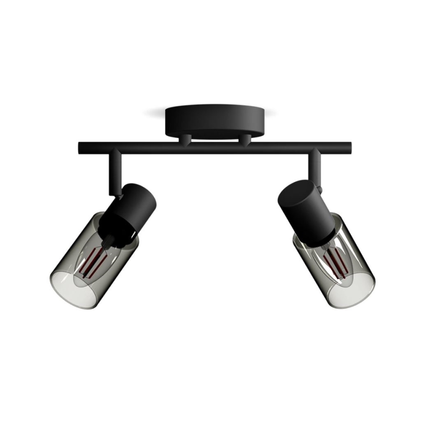 Philips - Oświetlenie punktowe PALMS 2xE14/25W/230V