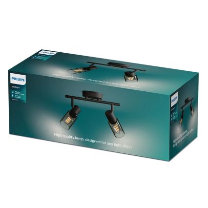 Philips - Oświetlenie punktowe PALMS 2xE14/25W/230V