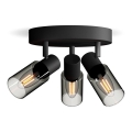 Philips - Oświetlenie punktowe PALMS 3xE14/25W/230V