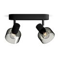 Philips - Oświetlenie punktowe SLEET 2xE14/25W/230V