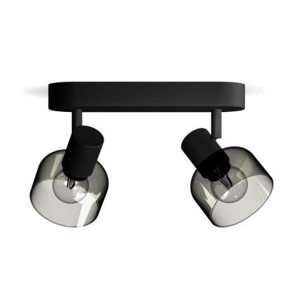 Philips - Oświetlenie punktowe SLEET 2xE14/25W/230V