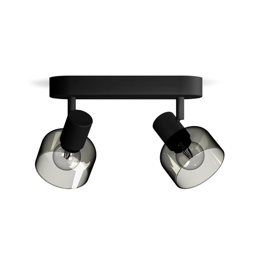 Philips - Oświetlenie punktowe SLEET 2xE14/25W/230V