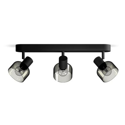 Philips - Oświetlenie punktowe SLEET 3xE14/25W/230V