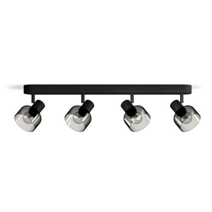 Philips - Oświetlenie punktowe SLEET 4xE14/25W/230V