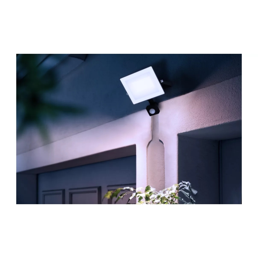 Philips - Reflektor LED LOIS z czujnikiem 30W 230V IP65 5000K