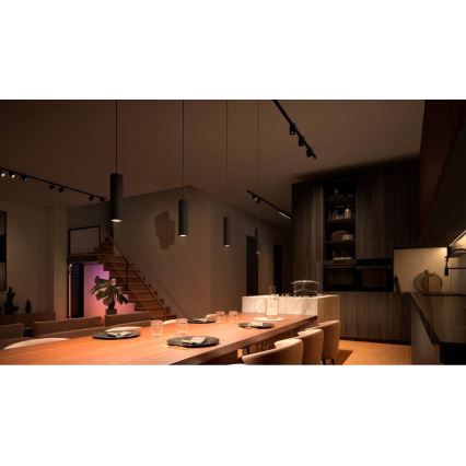 Philips - LED RGB ściemnialna lampa wisząca na przewodzie do systemu szynowego Hue PERIFO LED RGB/5,2W/24V 2000-6500K