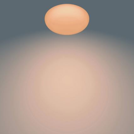 Philips - ściemnialna oprawa sufitowa LED/23W/230V + pilot zdalnego sterowania