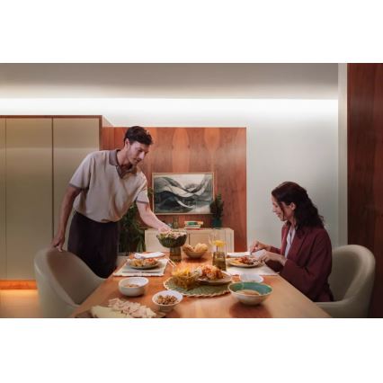 Philips - Taśma LED RGBW ściemnialna Hue FLUX 10m LED/60W/230V 2200-6500K