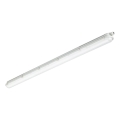 Philips - Techniczna oprawa świetlówkowa LED CORELINE LED/37,5W/230V 150 cm IP66