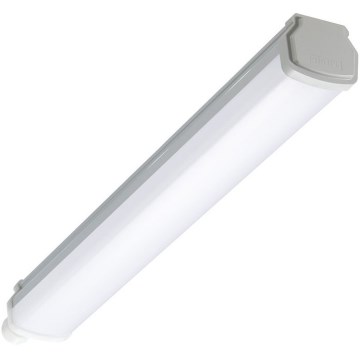 Philips - Techniczna oprawa świetlówkowa LED LEDINAIRE LED/15W/230V 60 cm IP66