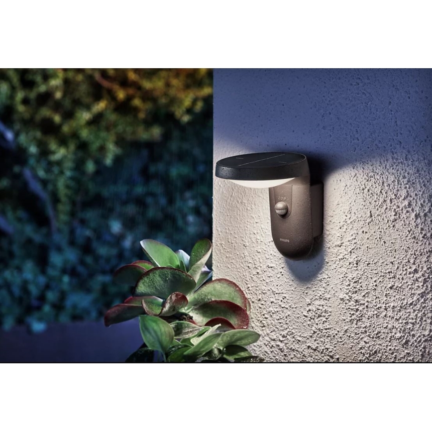 Philips - LED solarny kinkiet z czujnikiem ruchu i zmierzchu LED/1,2W/4V 1800 mAh 4000K IP44