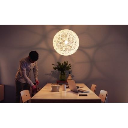 Philips  - Żyrandol MYLIVING RING E27/60W/230V