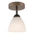 Plafon ADRIANO 1xE27/60W/230V buk