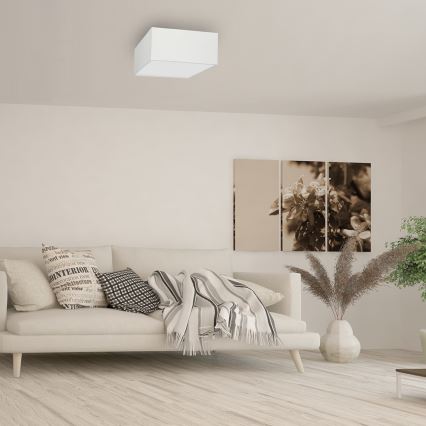 Plafon ALBION 2xE27/60W/230V