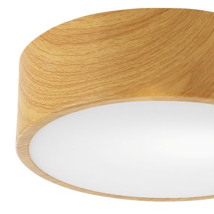 Plafon DANTE 1xE27/60W/230V śr. 26 cm