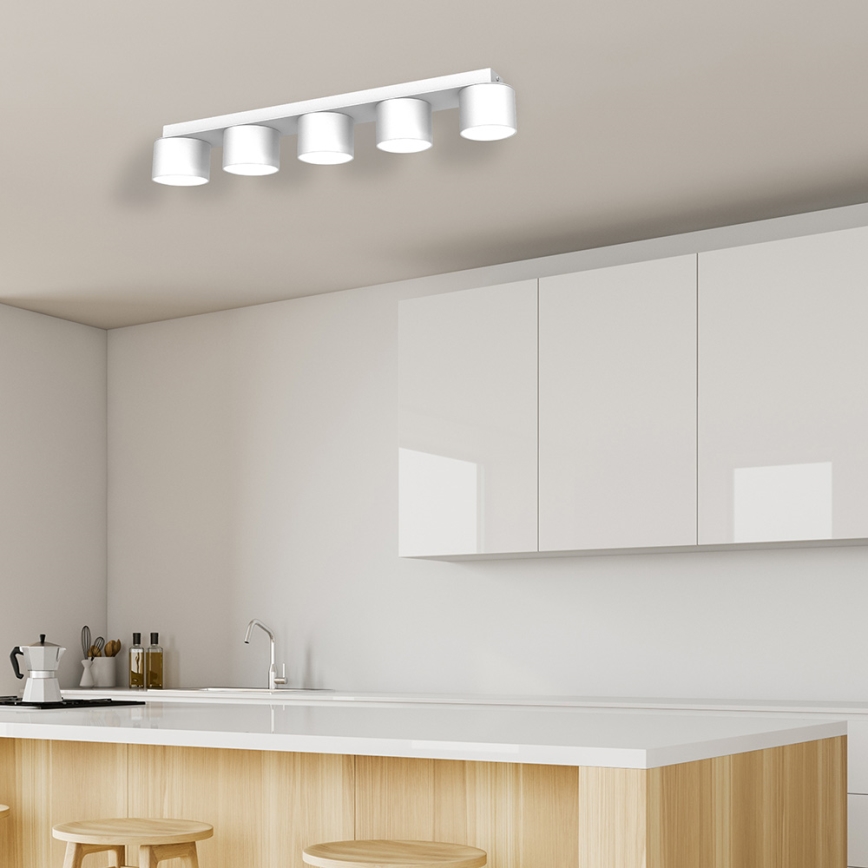 Plafon DIXIE 5xGX53/11W/230V biały