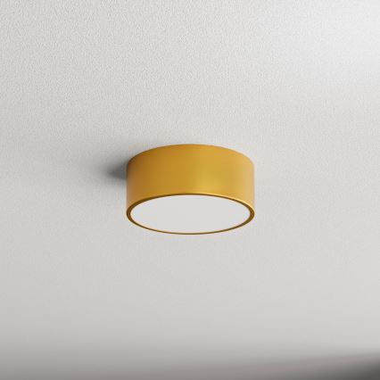 Plafon łazienkowy CLEO 1xE27/24W/230V śr. 20 cm złoty IP54
