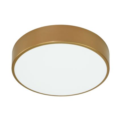 Plafon łazienkowy CLEO 3xE27/24W/230V d. 40 cm gold IP54