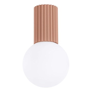 Plafon łazienkowy HALO 1xG9/8W/230V śr. 12 cm IP44 brązowy
