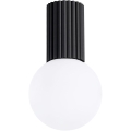 Plafon łazienkowy HALO 1xG9/8W/230V śr. 12 cm IP44 czarny