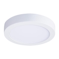 Plafon LED/18W/230V 3000/4000/6000K Ø 22,5 cm biały