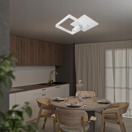 Plafon LED 38W/230V + 1xGU10/30W biały