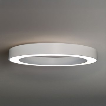 Plafon LED/80W/230V 3000/4000/6500K śr. 80 cm biały