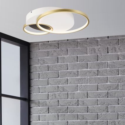 Plafon ściemnialny BENITO LED/31W/230V 3000-6500K biały/złoty