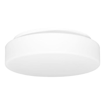 Plafon zewnętrzny HECTOR 1xE27/60W/230V śr. 30 cm IP44 opal biały