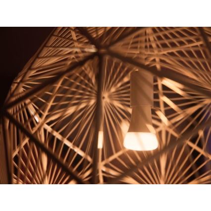 Zestaw startowy Philips Hue WHITE AMBIANCE 2xE27/8W/230V + mostek Hue i przełącznik ściemniacza