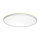 Prezent 27304 - LED Plafon łazienkowy CORDIA LED/12W/230V 3000/6000K IP54 biały