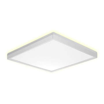 Prezent 27305 - LED Plafon łazienkowy CORDIA SQ LED/12W/230V 3000/6000K IP54 biały
