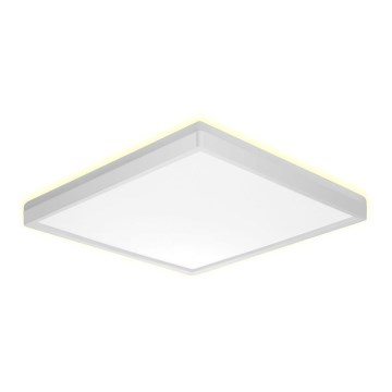 Prezent 27309 - LED Plafon łazienkowy CORDIA SQ LED/24W/230V 3000/6000K IP54 biały