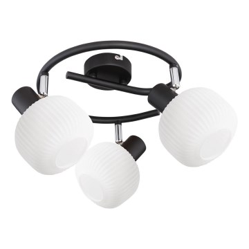 Prezent 27521 - Oświetlenie punktowe ARYA 3xE14/40W/230V czarny/biały