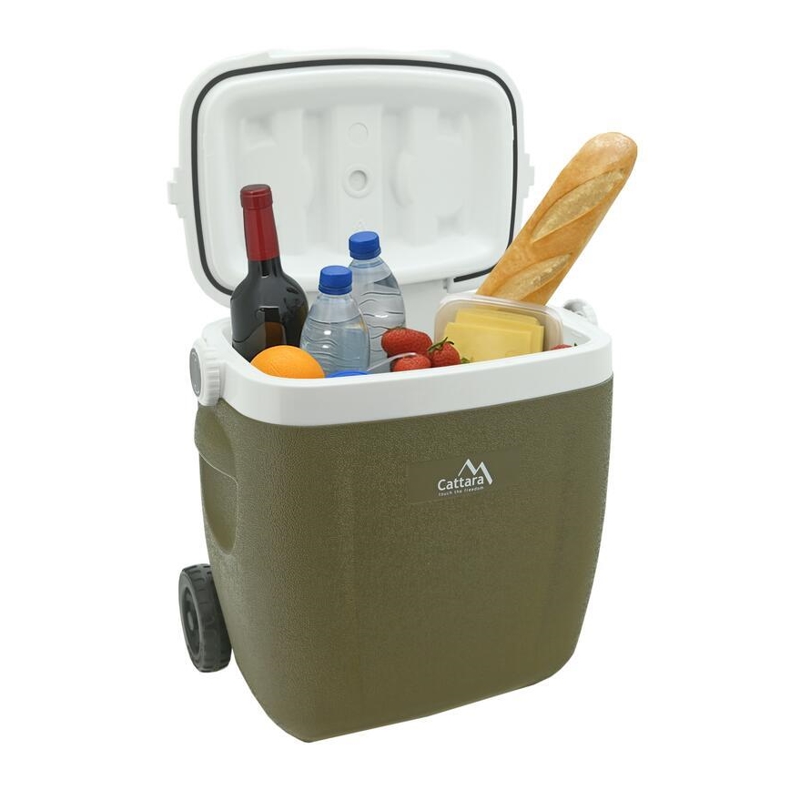 Przenośny chłodzący box na kółkach 16 l, zielony