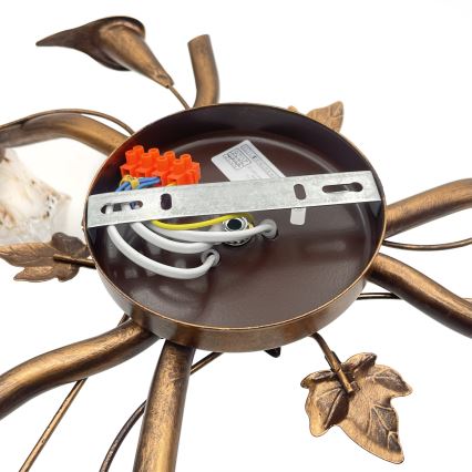 Przysufitowy żyrandol ROZETA 3xE14/40W/230V brązowy