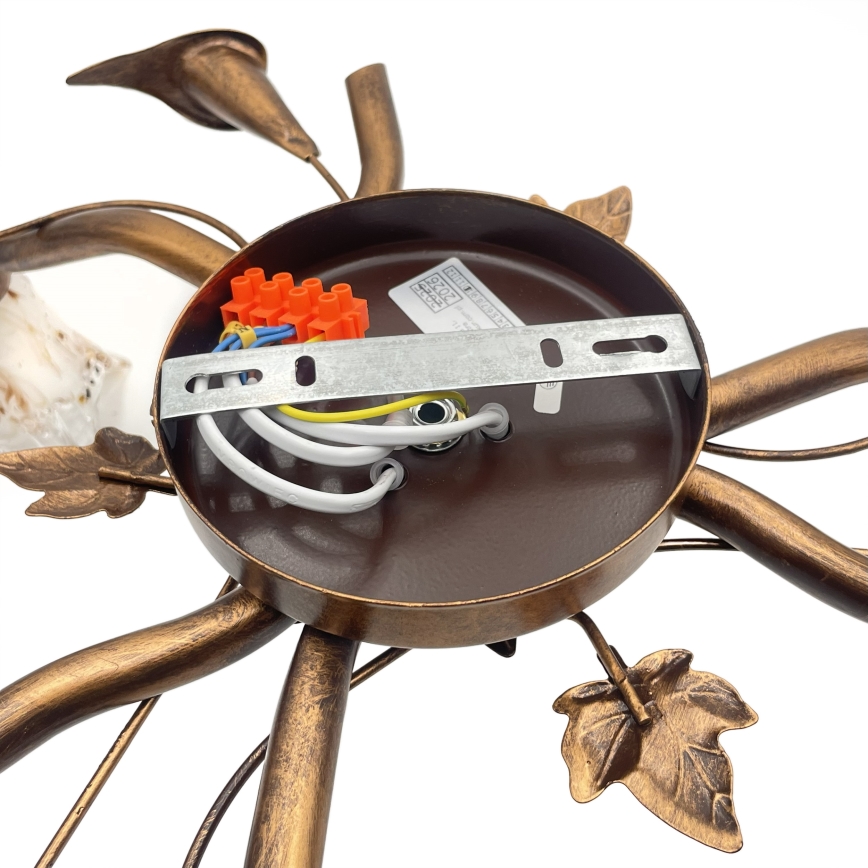 Przysufitowy żyrandol ROZETA 3xE14/40W/230V brązowy