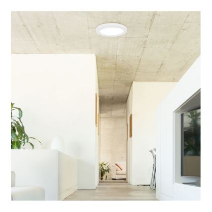 Rabalux - LED Plafon z czujnikiem LED/18W/230V 4000K 22,5 cm
