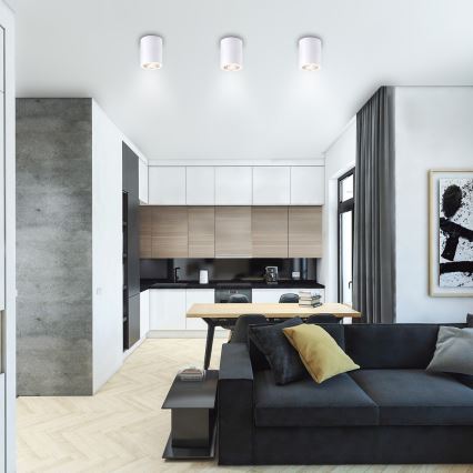 Rabalux - Oprawa punktowa 1xE27/25W/230V biała