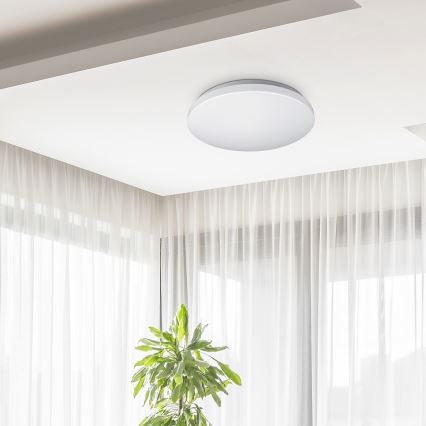 Rabalux 2285 - LED Plafon ROB 1xLED/32W/230V
